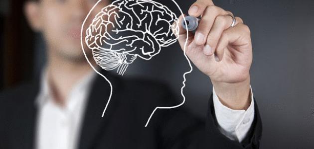 كشف علمي جديد يمهد لعلاج الدماغ والقلب 