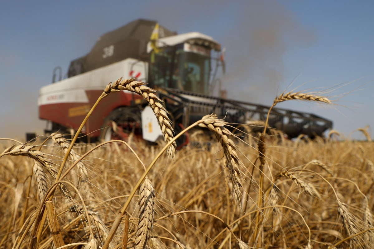 هل تؤثر الأزمة الأوكرانية الروسية على إمدادات المغرب من القمح ؟