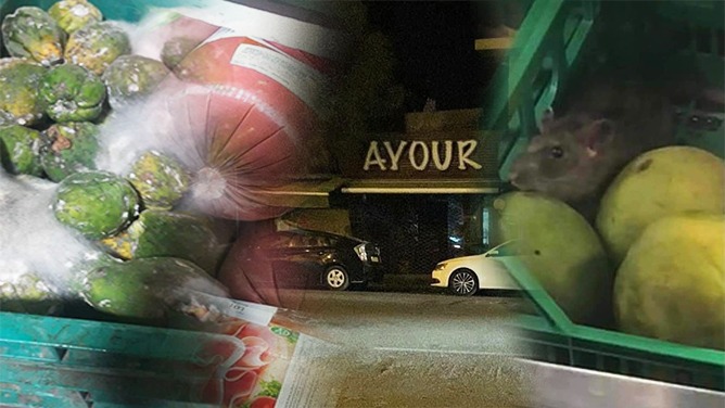 الفئران والصراصير تتسبب في إغلاق أشهر محل للمأكولات الخفيفة بالدار البيضاء (صور)